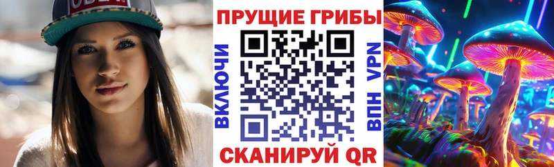 купить закладку  Тара  Псилоцибиновые грибы Psilocybe 